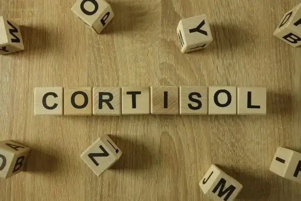 The Hidden Connection: How Stress Shapes Your Fitness and Body Composition 2 Image saying "Cortisol" and how stress Brighton impacts your wellbeing and bodies shape